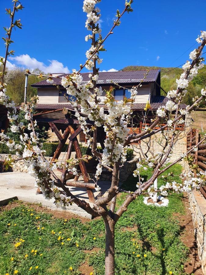 Rooms Poienita Slănic-Moldova Eksteriør bilde