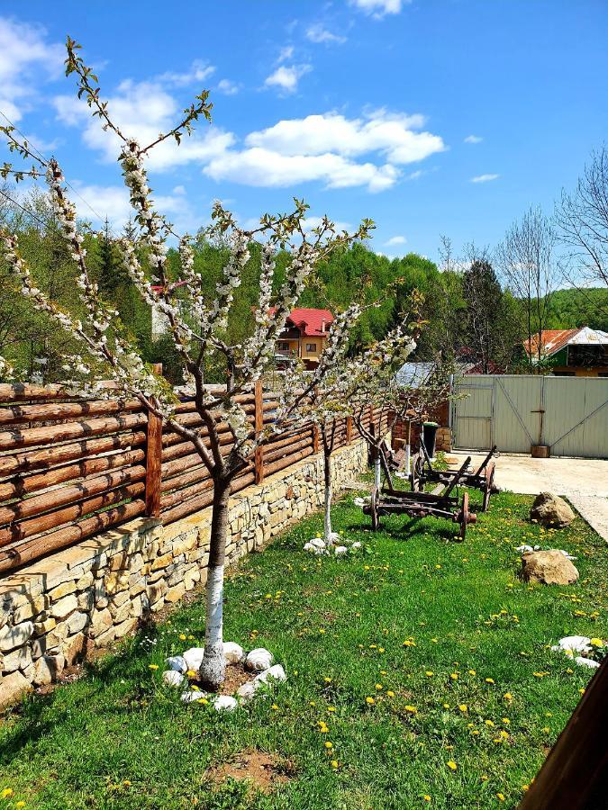 Rooms Poienita Slănic-Moldova Eksteriør bilde
